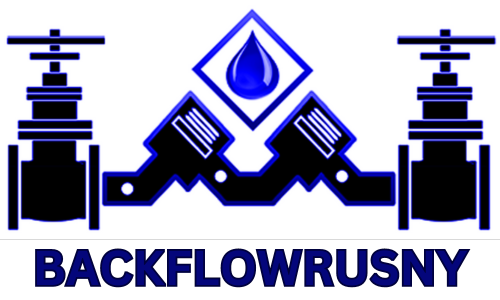 BACKFLOWRUSNY logo